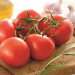 [110-110-103025-100] Tomate KALIXO sin tratar (Gaut) truss rojo (100/pk)
