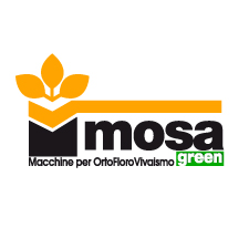 Mosa Green